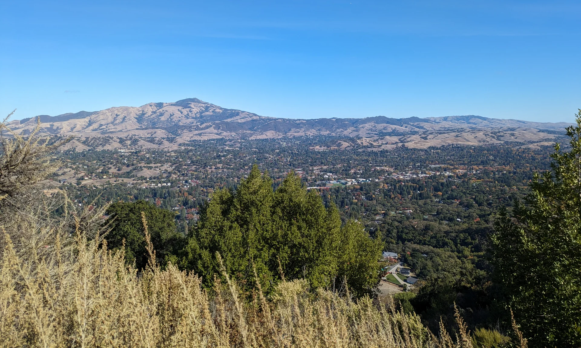 View of Danville and Mount Diablo from Las Trampas